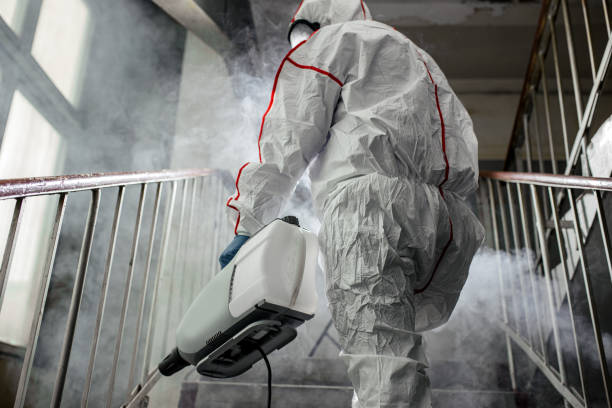 Trusted Wheatley Heights, NY Mold Removal Experts